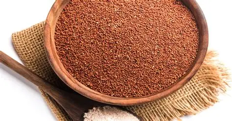 Finger Millet