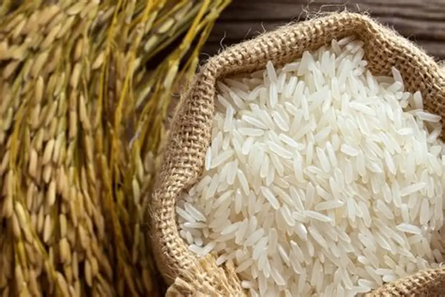 Basmati Rice